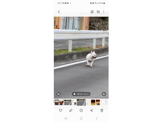 枚目写真
