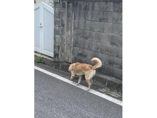 枚目写真