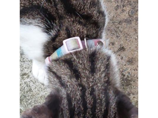 枚目写真
