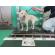 6/13　柴犬(恩納村)　K-3