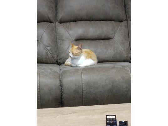 枚目写真