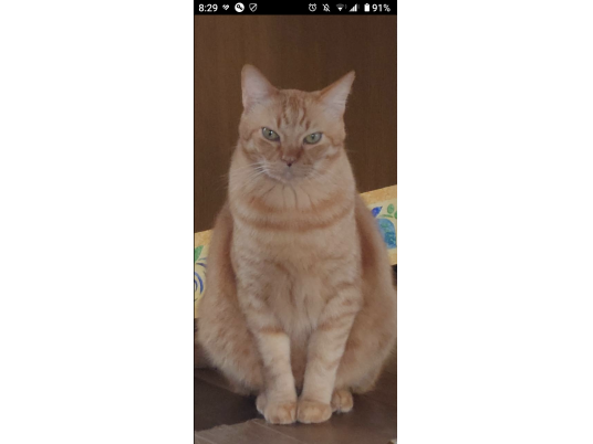 枚目写真