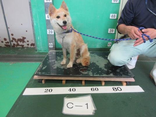枚目写真