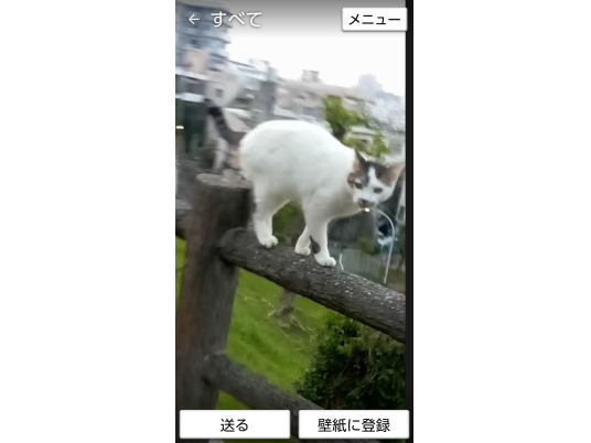 枚目写真