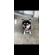 6/20＿No.83　柴犬(南城市)