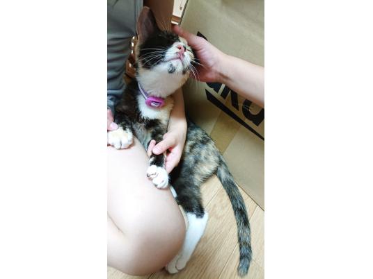 枚目写真