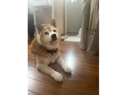 枚目写真