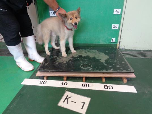 枚目写真
