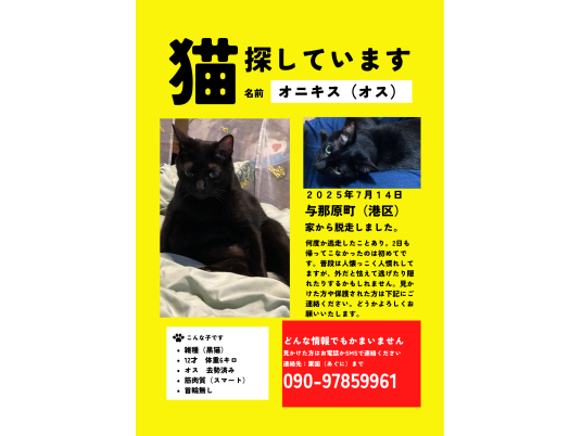 枚目写真
