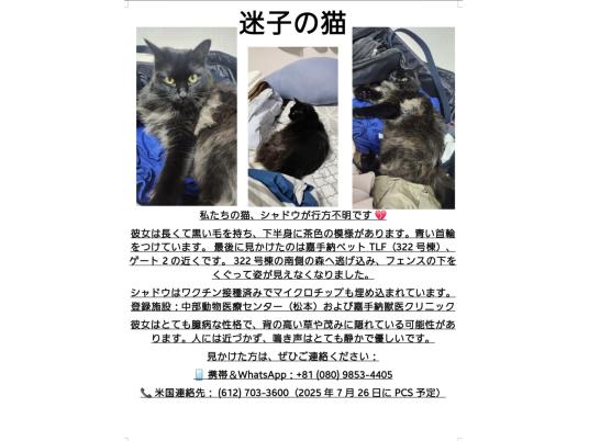 枚目写真