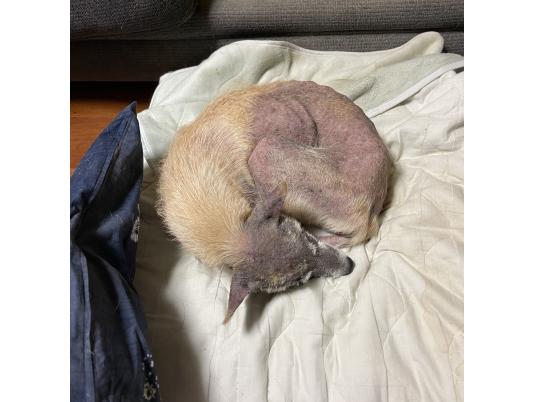 枚目写真