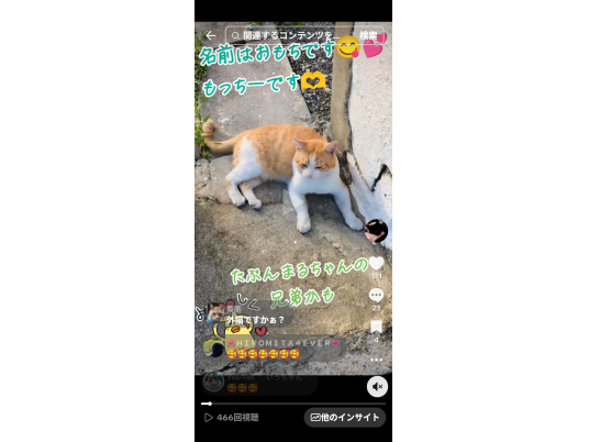 枚目写真