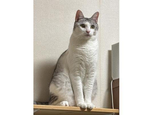 枚目写真