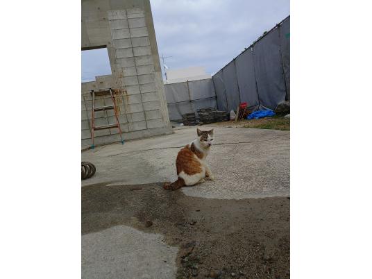 枚目写真