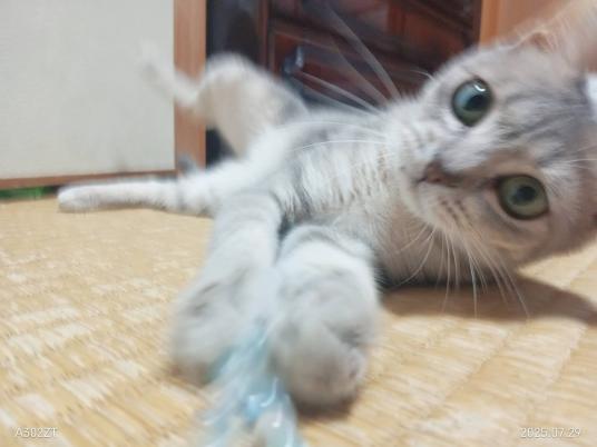 枚目写真