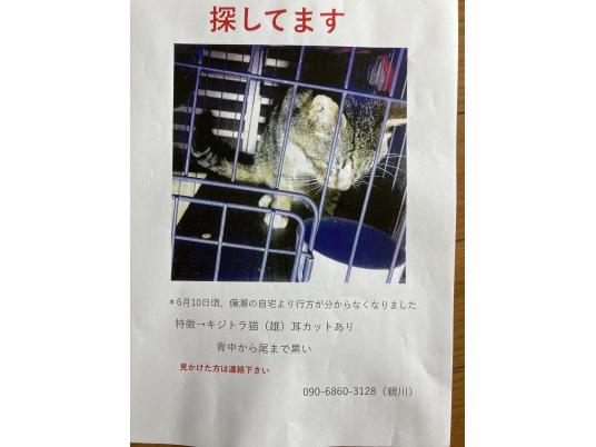 枚目写真