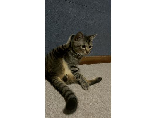 枚目写真
