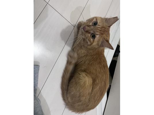 枚目写真