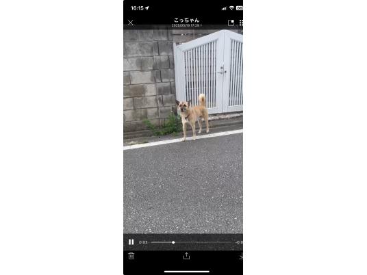 2枚目写真