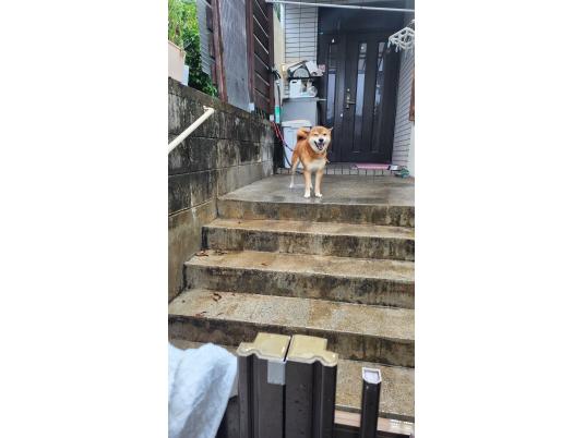 2枚目写真