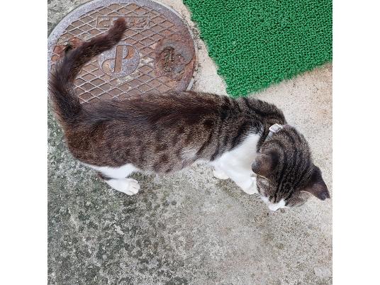 2枚目写真
