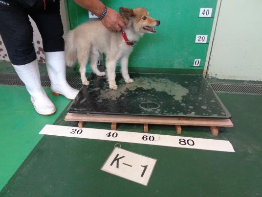 2枚目写真