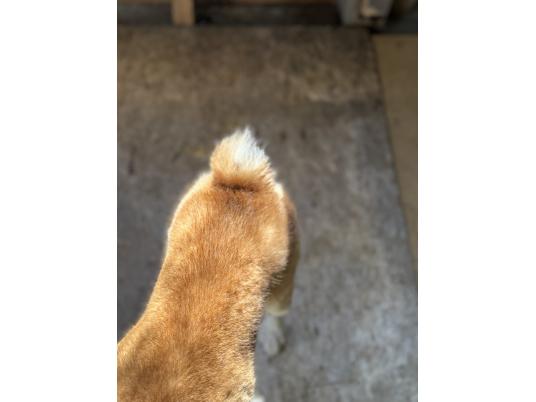 2枚目写真
