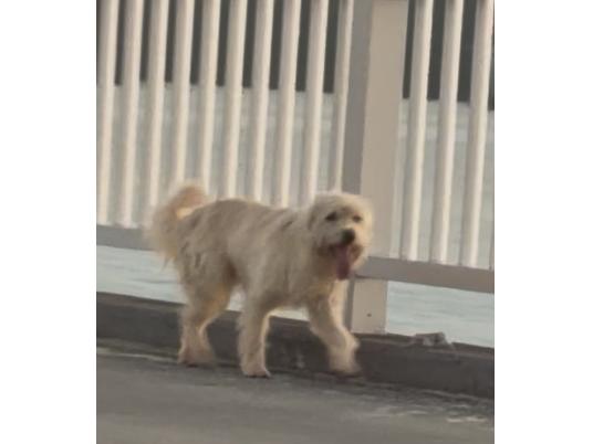 2枚目写真