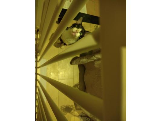 2枚目写真