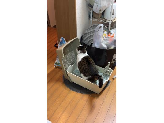 3枚目写真