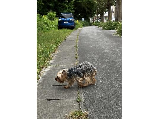 3枚目写真
