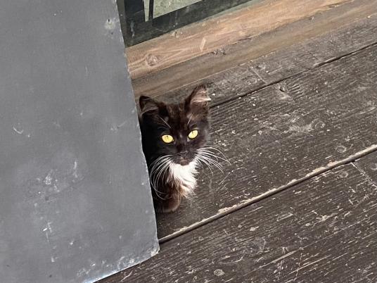 3枚目写真
