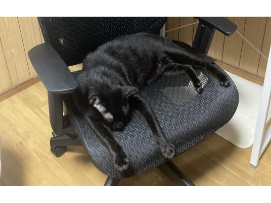 3枚目写真