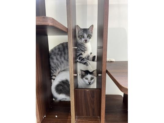 4枚目写真