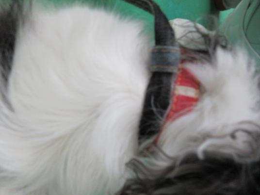 4枚目写真