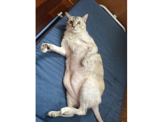 枚目写真
