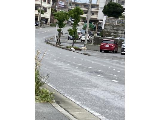 枚目写真