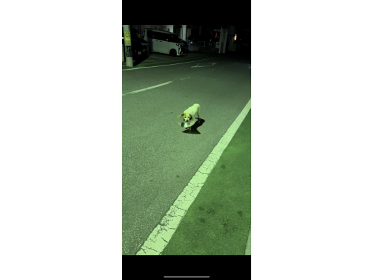 枚目写真