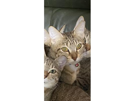 枚目写真
