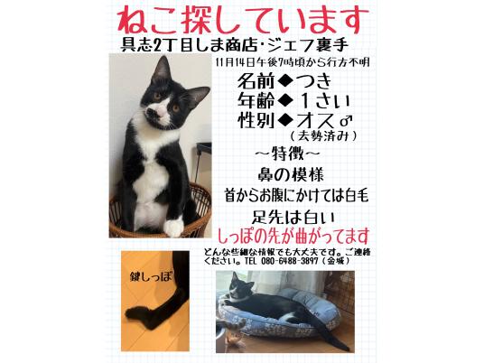 枚目写真