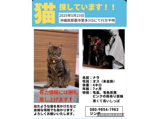 枚目写真