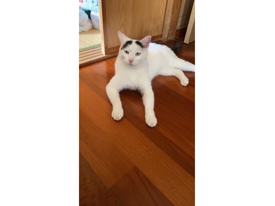枚目写真