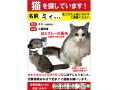 6/16_No.89 雑種(那覇市)