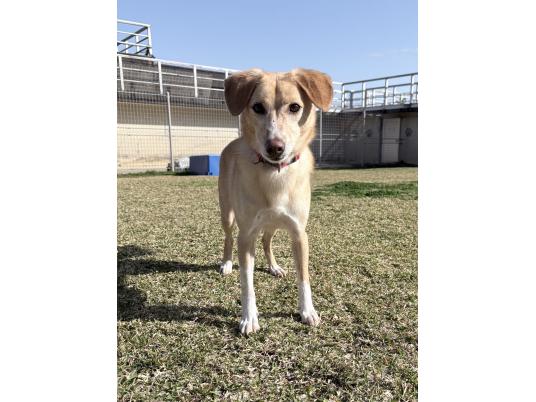 推進棟　おかゆ