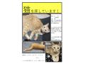 6/20_No.98 雑種(浦添市)