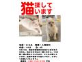 6/24_No.101 雑種(浦添市)
