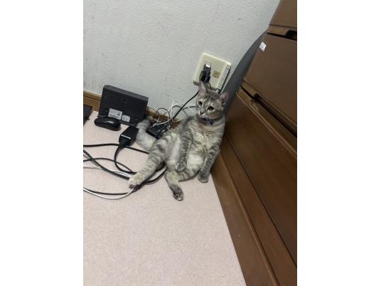 枚目写真