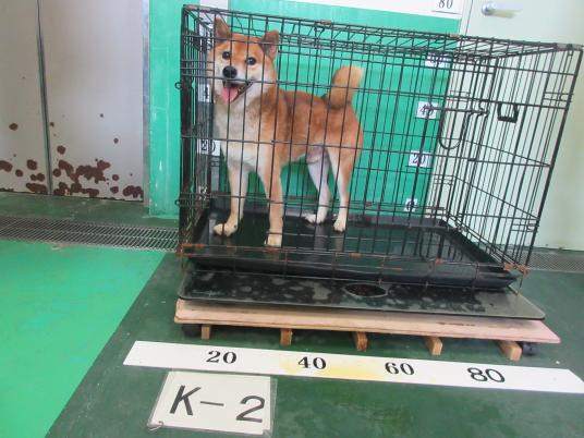 枚目写真