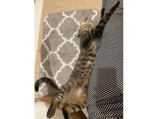 枚目写真