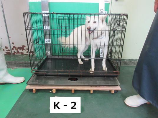 枚目写真